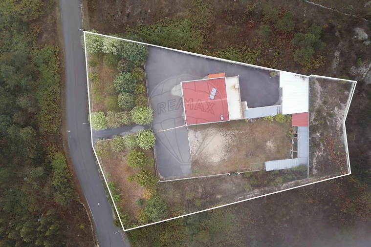 Prédio para Venda em Junqueira Foto 41