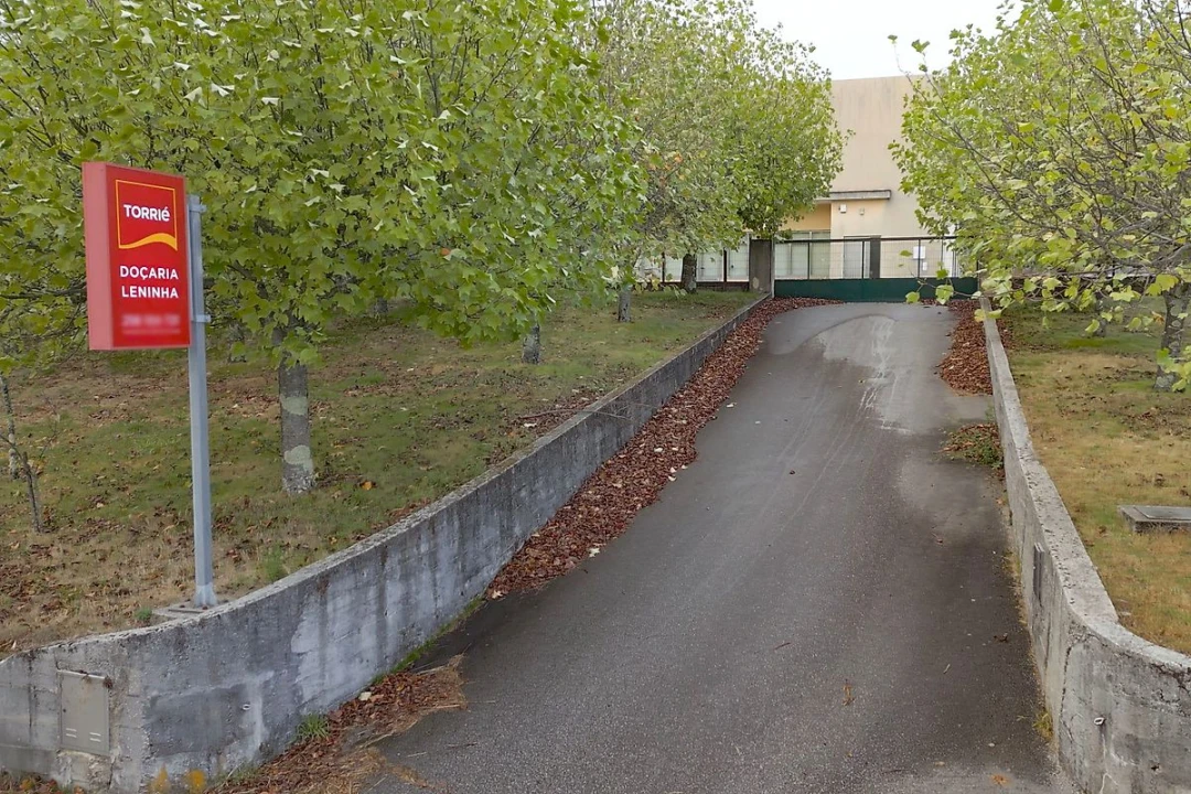 Prédio para Arrendamento em Junqueira Foto 43