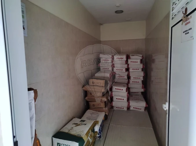 Prédio para Arrendamento em Junqueira Foto 32