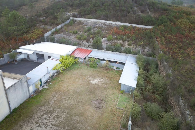 Prédio para Arrendamento em Junqueira Foto 48