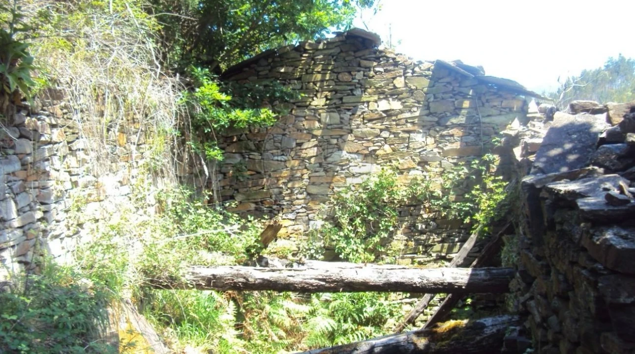 Terreno para Venda em Cabreiros e Albergaria da Serra Foto 3