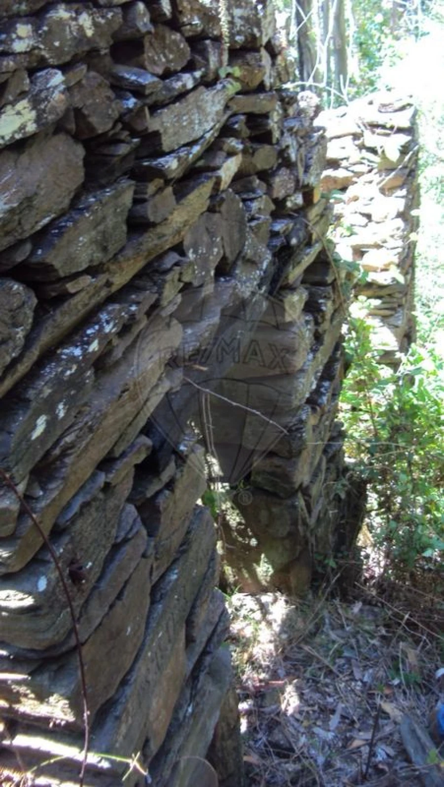 Terreno para Venda em Cabreiros e Albergaria da Serra Foto 2