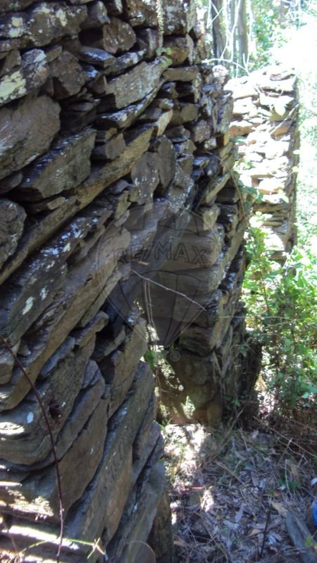Terreno para Venda em Cabreiros e Albergaria da Serra Foto 2