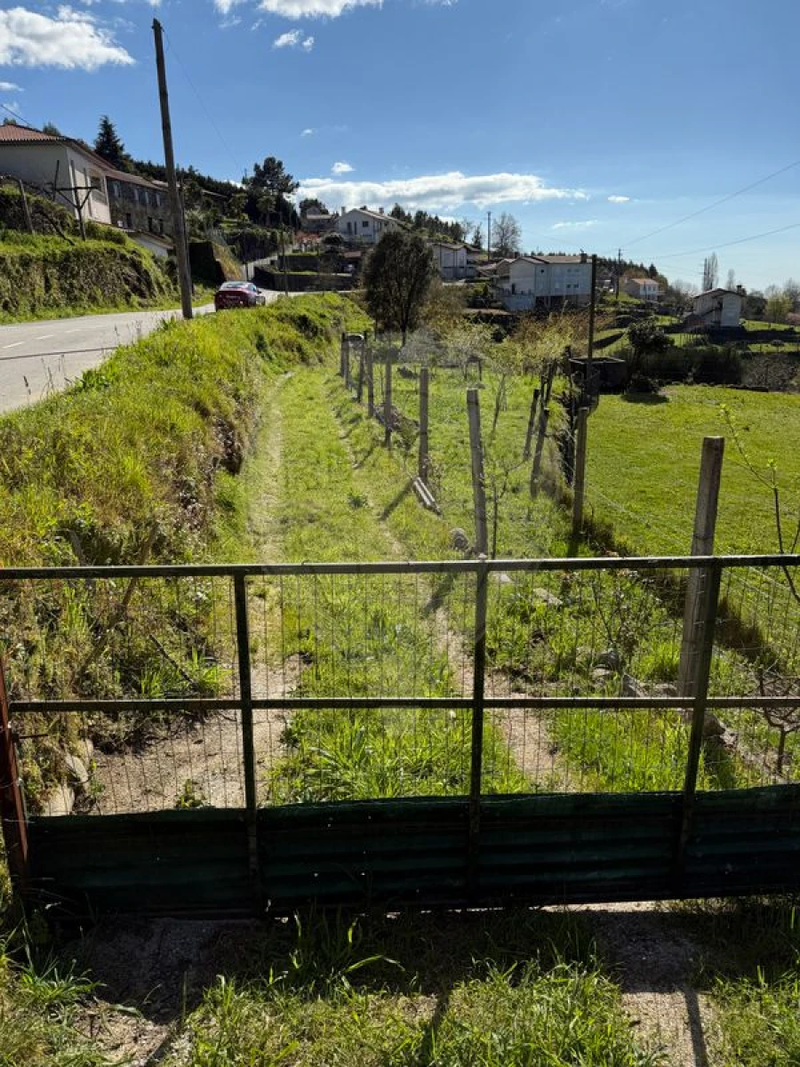 Terreno para Venda em Macieira de Cambra Foto 1