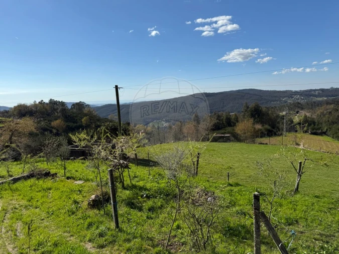 Terreno para Venda em Macieira de Cambra Foto 4