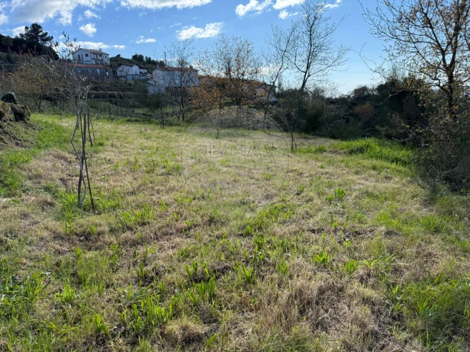 Terreno para Venda em Macieira de Cambra Foto 5