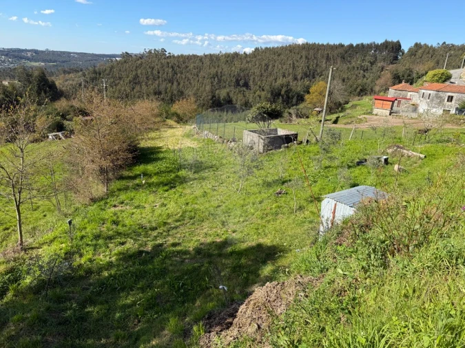 Terreno para Venda em Macieira de Cambra Foto 3