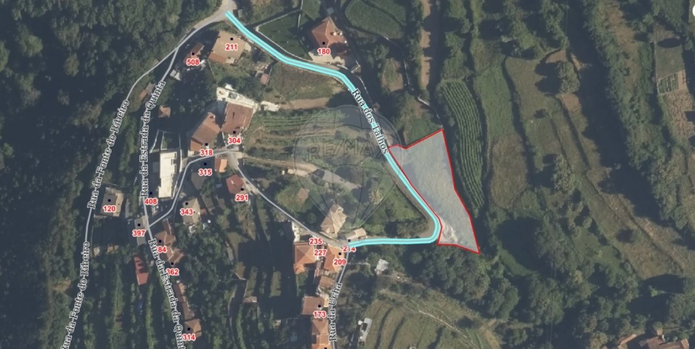 Terreno para Venda em São Pedro de Castelões Foto 7