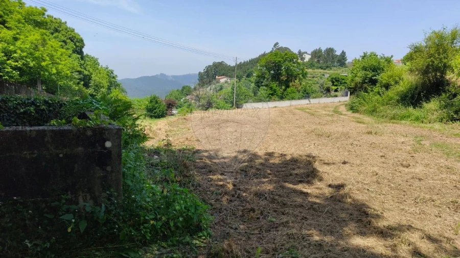 Terreno para Venda em São Pedro de Castelões Foto 2