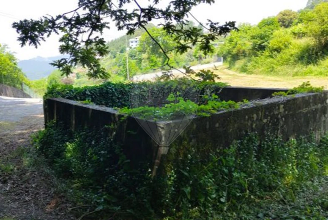 Terreno para Venda em São Pedro de Castelões Foto 5