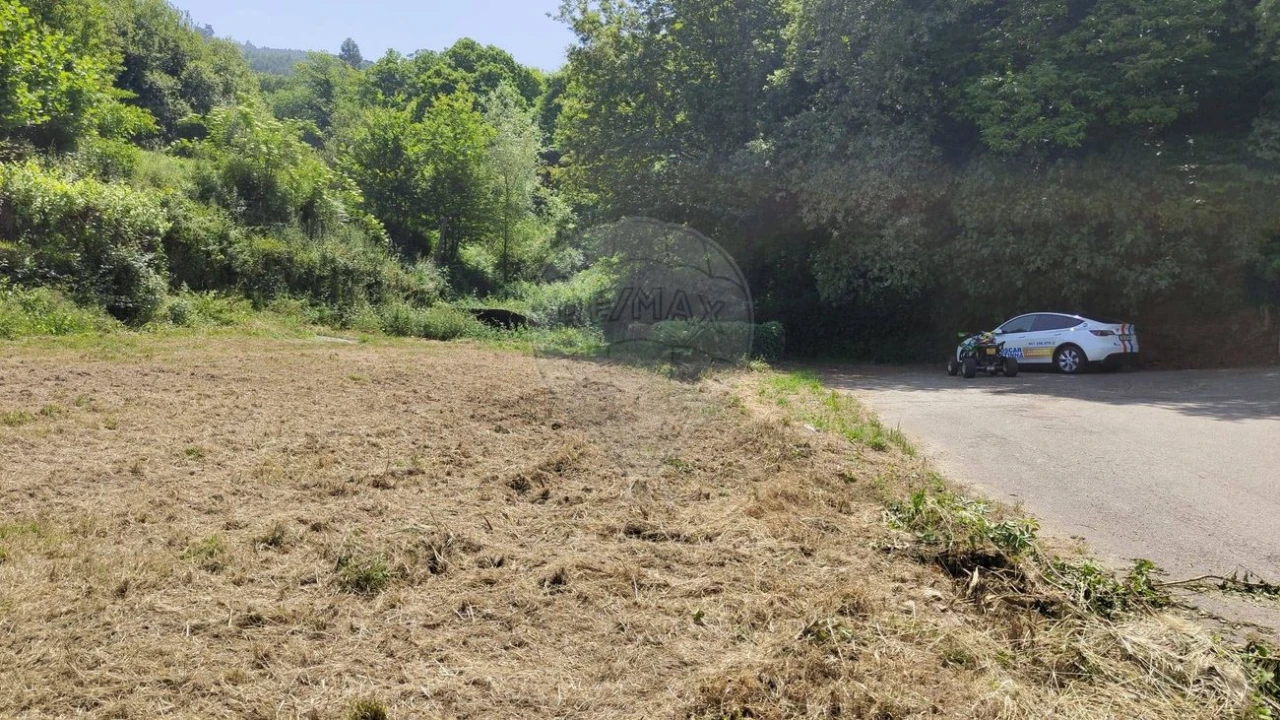 Terreno para Venda em São Pedro de Castelões Foto 4
