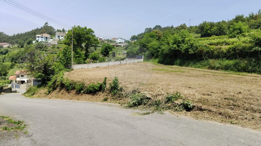 Terreno para Venda em São Pedro de Castelões