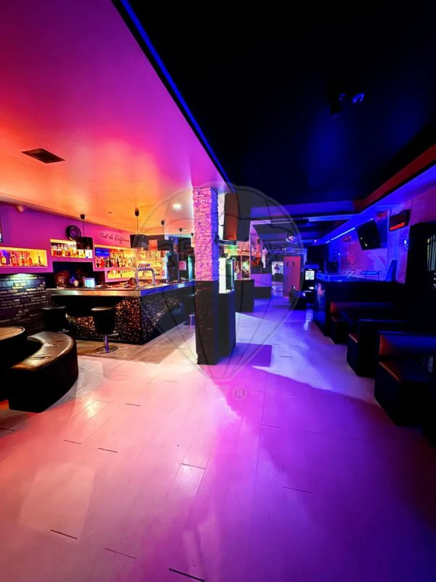 Negócio para Venda em Vila Chã, Codal e Vila Cova de Perrinho Foto 3