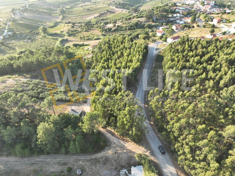 Terreno Agricola ou Rústico para Venda em Azueira e Sobral da Abelheira Foto 3