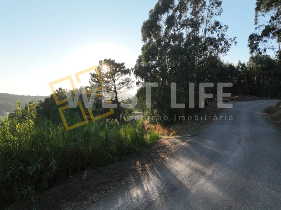 Terreno Agricola ou Rústico para Venda em Azueira e Sobral da Abelheira Foto 4