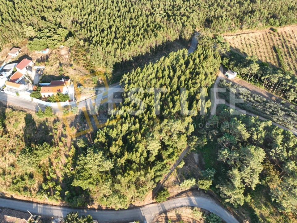 Terreno Agricola ou Rústico para Venda em Azueira e Sobral da Abelheira Foto 5