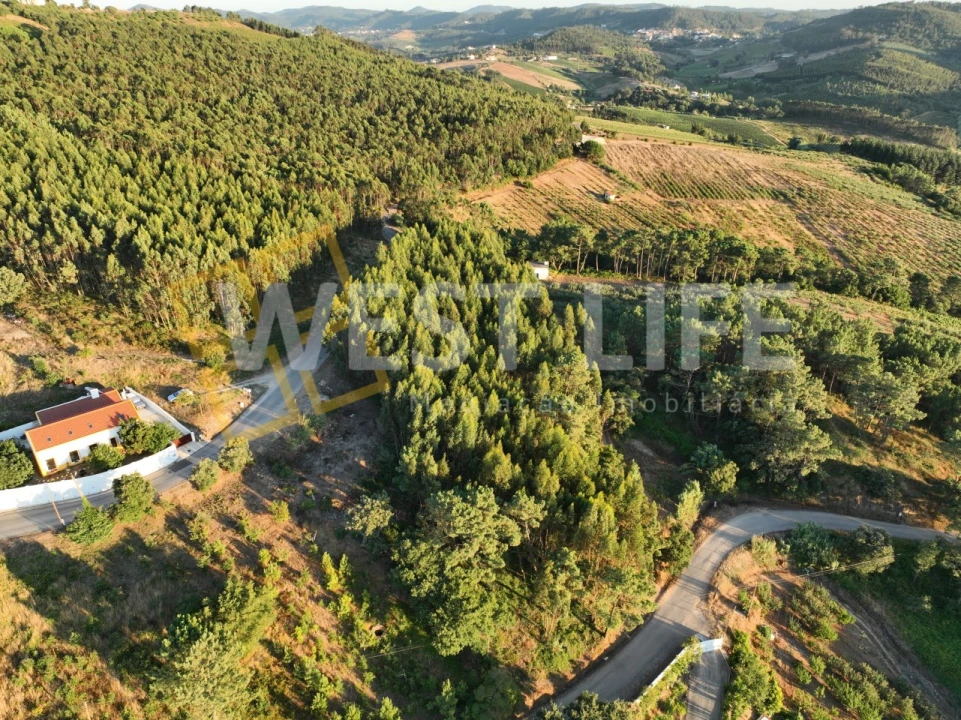 Terreno Agricola ou Rústico para Venda em Azueira e Sobral da Abelheira Foto 13