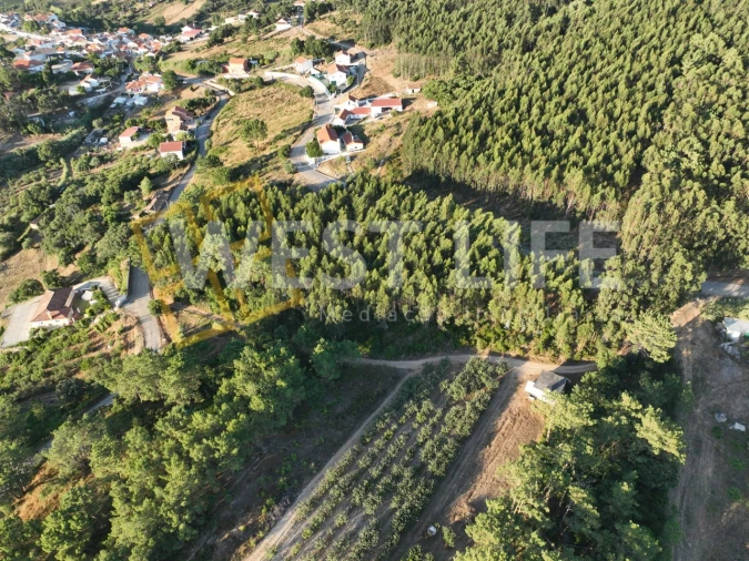 Terreno Agricola ou Rústico para Venda em Azueira e Sobral da Abelheira Foto 3