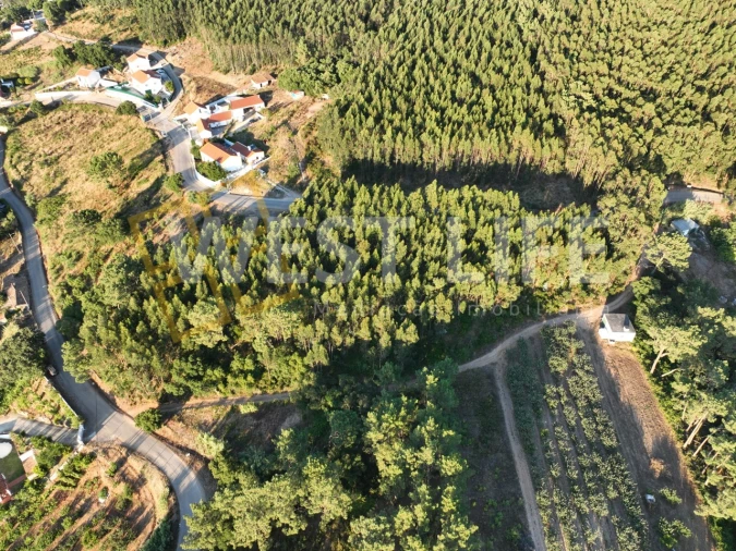 Terreno Agricola ou Rústico para Venda em Azueira e Sobral da Abelheira Foto 6