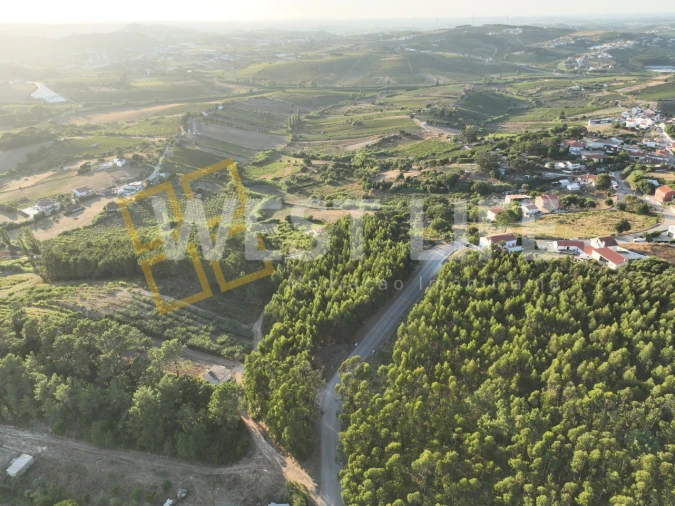 Terreno Agricola ou Rústico para Venda em Azueira e Sobral da Abelheira Foto 7
