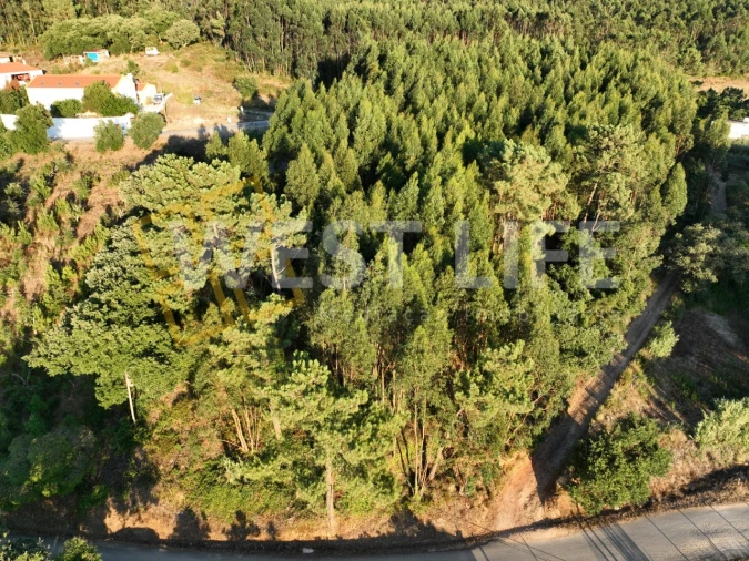 Terreno Agricola ou Rústico para Venda em Azueira e Sobral da Abelheira Foto 9