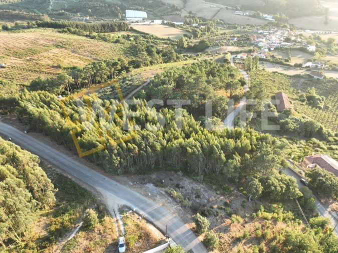 Terreno Agricola ou Rústico para Venda em Azueira e Sobral da Abelheira Foto 11