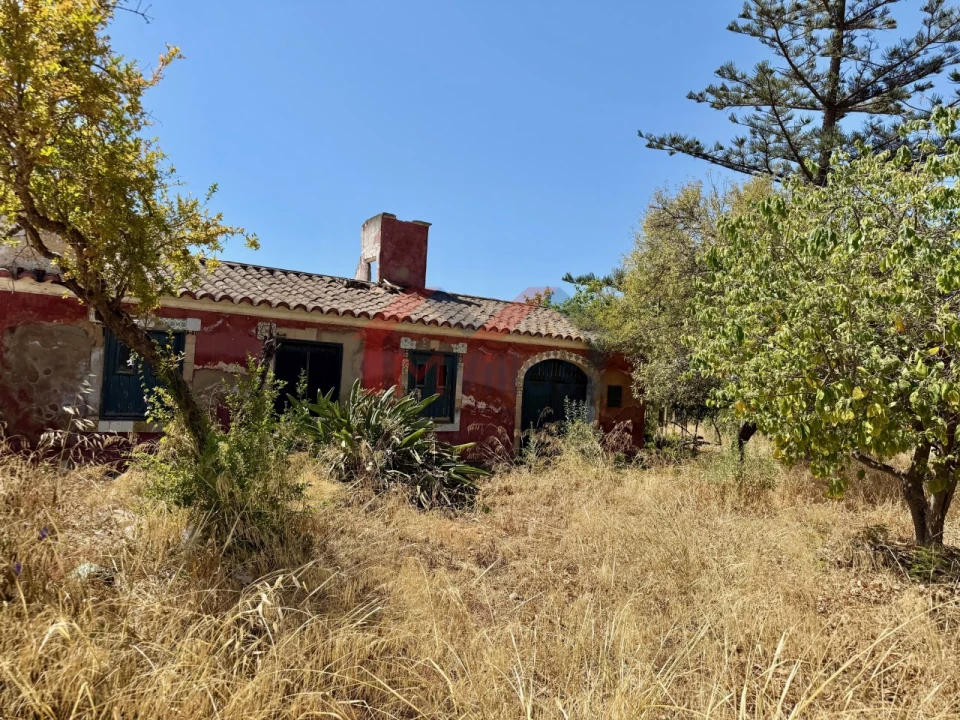 Terreno para Venda em Quelfes Foto 13