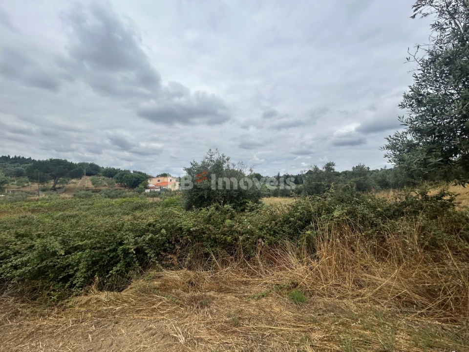 Terreno para Venda em Serra e Junceira Foto 2