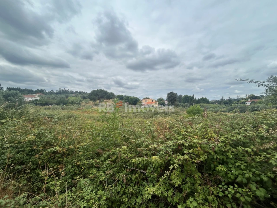 Terreno para Venda em Serra e Junceira Foto 3