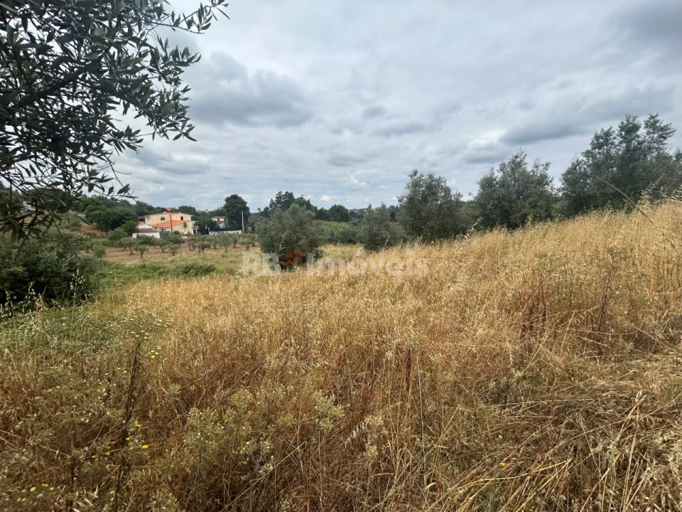 Terreno para Venda em Serra e Junceira Foto 4