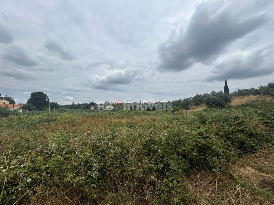 Terreno para Venda em Serra e Junceira Foto 13
