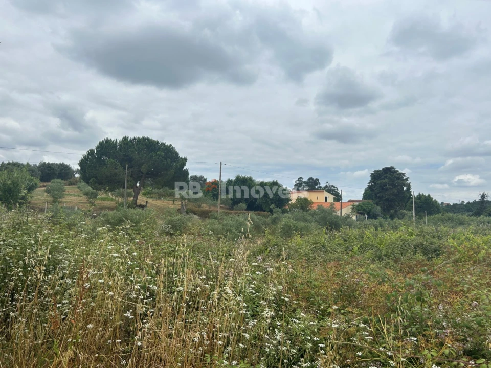 Terreno para Venda em Serra e Junceira Foto 14