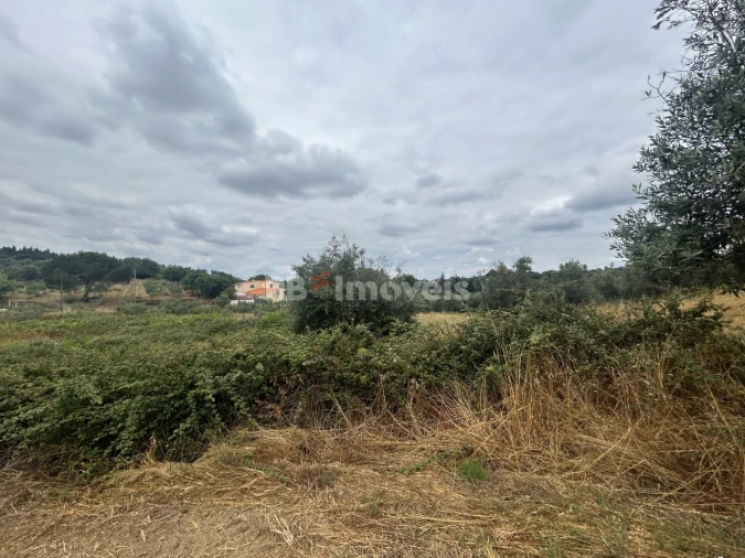 Terreno para Venda em Serra e Junceira Foto 2