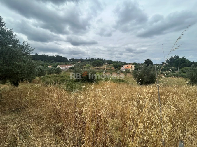 Terreno para Venda em Serra e Junceira Foto 6