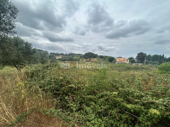 Terreno para Venda em Serra e Junceira Foto 9