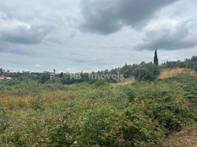 Terreno para Venda em Serra e Junceira Foto 10