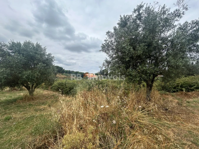 Terreno para Venda em Serra e Junceira Foto 12
