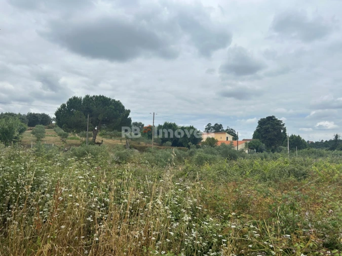 Terreno para Venda em Serra e Junceira Foto 14