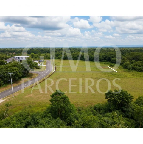 Terreno para Venda em Bustos, Troviscal e Mamarrosa