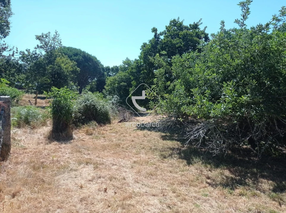 Quinta T3 para Venda em Valença, Cristelo Covo e Arão Foto 32
