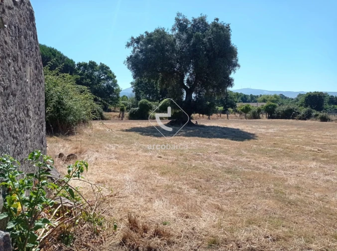 Quinta T3 para Venda em Valença, Cristelo Covo e Arão Foto 30