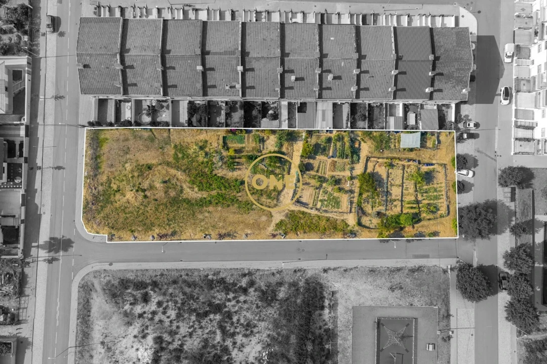 Terreno para Venda em São João de Ver Foto 3