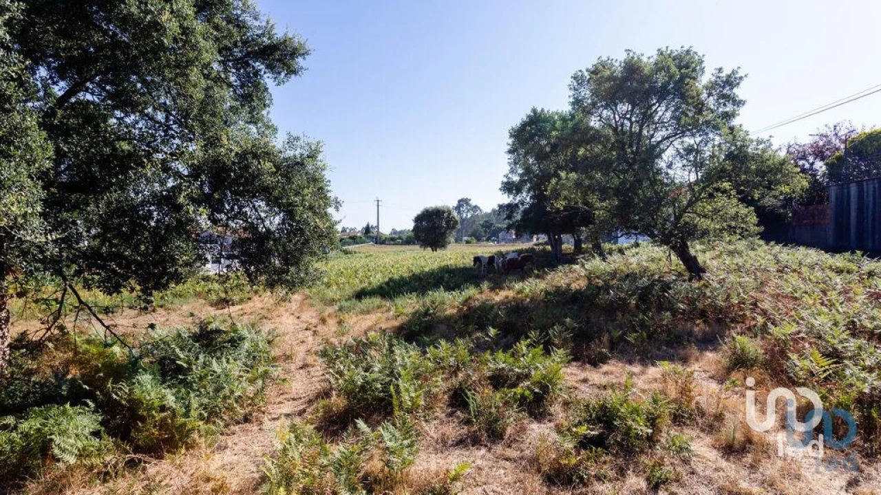 Terreno para Venda em Fiães Foto 7