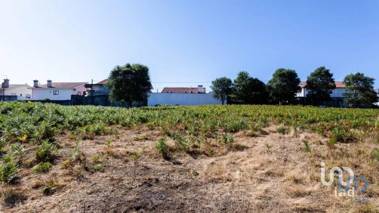 Terreno para Venda em Fiães Foto 11