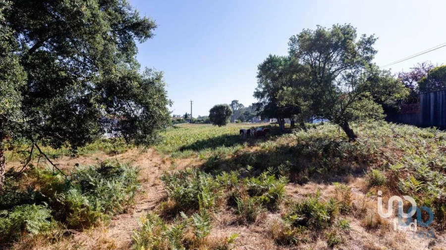 Terreno para Venda em Fiães Foto 7