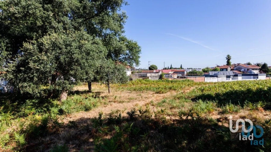 Terreno para Venda em Fiães Foto 9