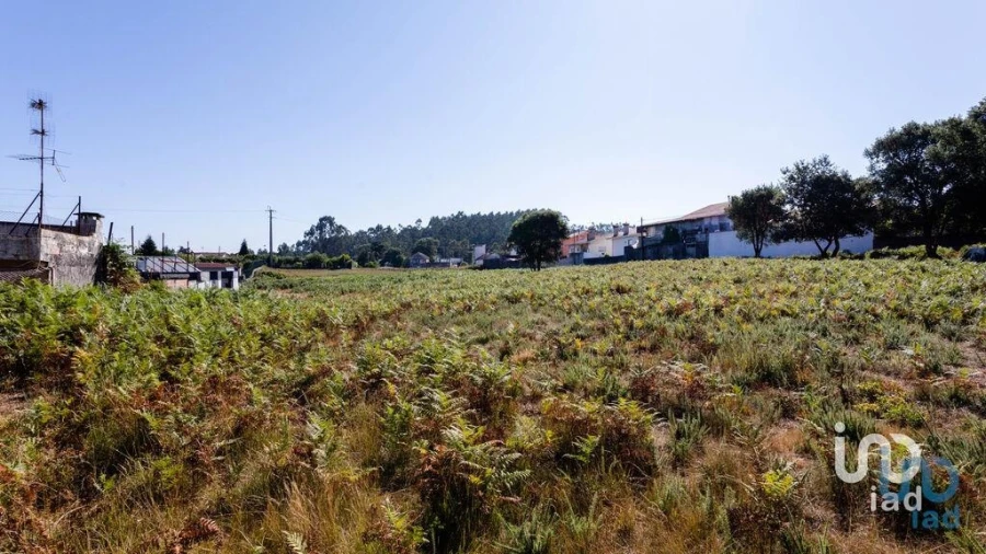 Terreno para Venda em Fiães Foto 10
