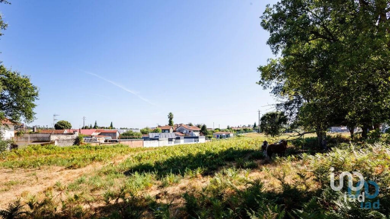 Terreno para Venda em Fiães Foto 8
