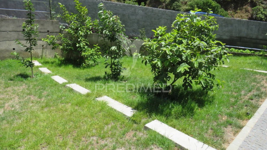 Moradia T3 para Venda em Serra de Agua Foto 16