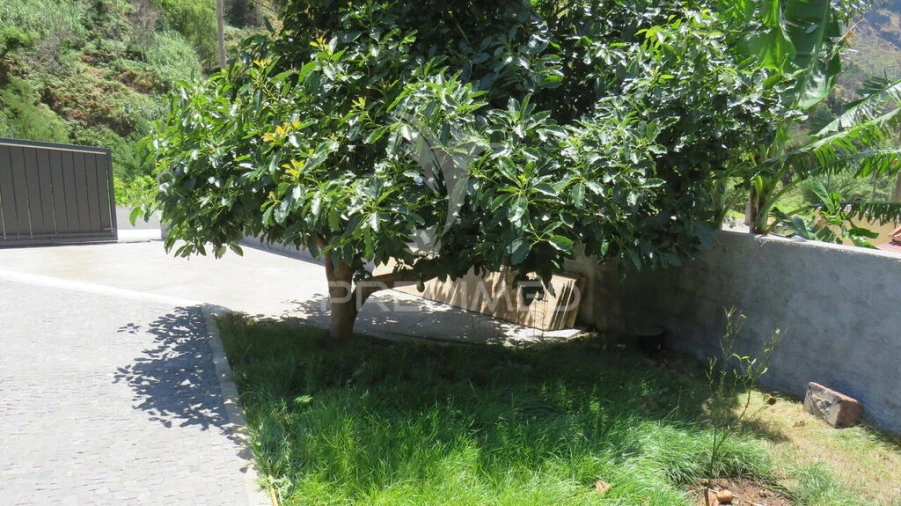 Moradia T3 para Venda em Serra de Agua Foto 17